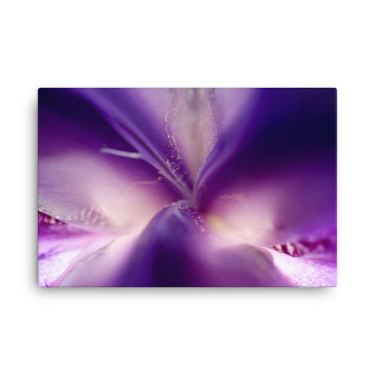 Iris Center Petals Floral Botanical Nature Photo Canvas Wall Art Prints