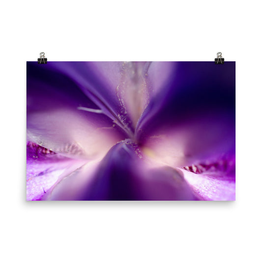 Iris Center Petals Floral Nature Photo Loose Unframed Wall Art Prints - PIPAFINEART