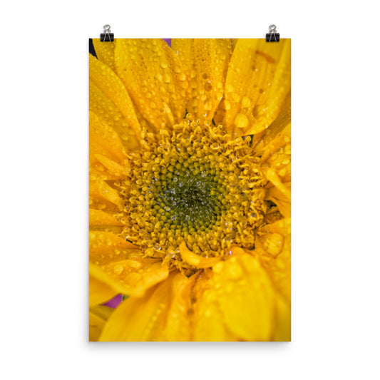 Joyful Color Floral Nature Photo Loose Unframed Wall Art Prints - PIPAFINEART