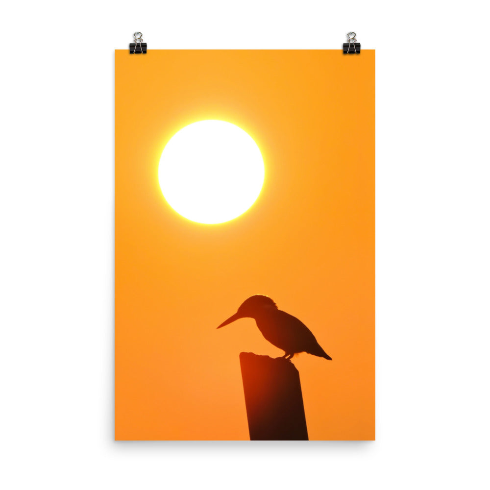 Kingfisher Bird Silhouette on Perch at Sunset Loose Wall Art Print