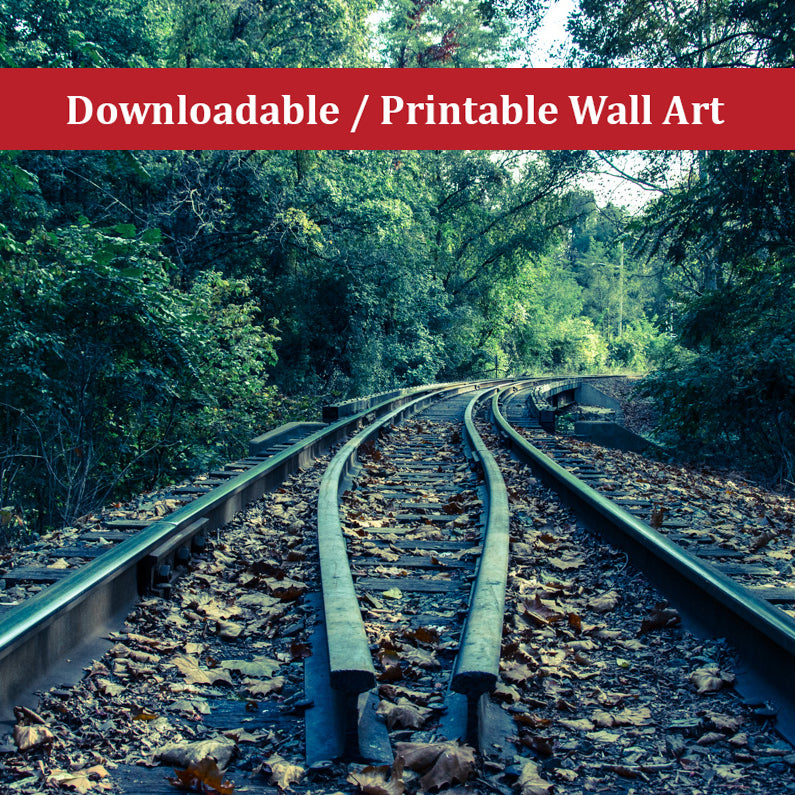 Lead Me Into The Light Colorized Landscape Photo DIY Wall Decor Instant Download Print - Printable - PIPAFINEART