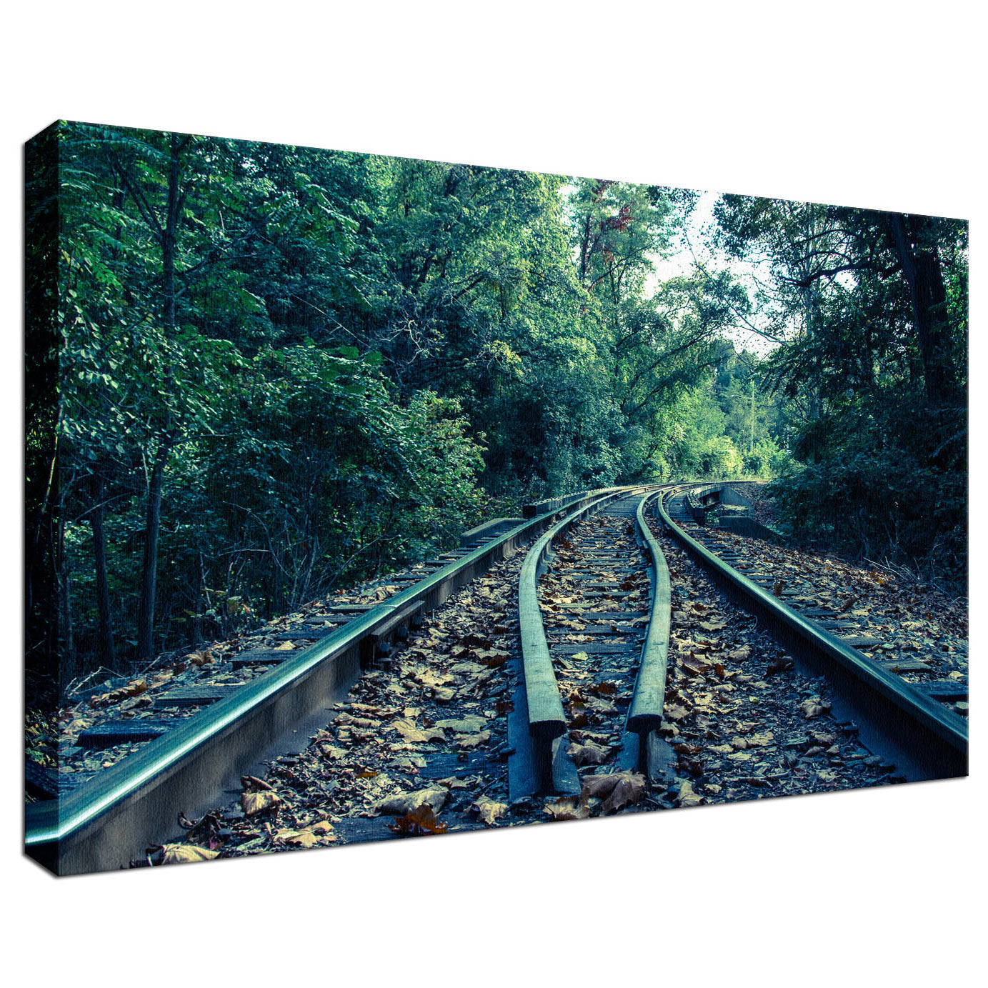 Lead Me into the Light Colorized Landscape Photo Fine Art Canvas Wall Art Prints - PIPAFINEART