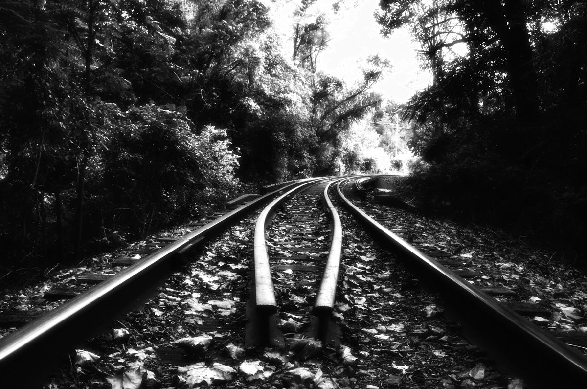 Lead Me Into The Light Black and White Landscape Photo DIY Wall Decor Instant Download Print - Printable - PIPAFINEART