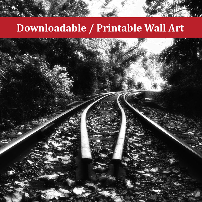 Lead Me Into The Light Black and White Landscape Photo DIY Wall Decor Instant Download Print - Printable - PIPAFINEART