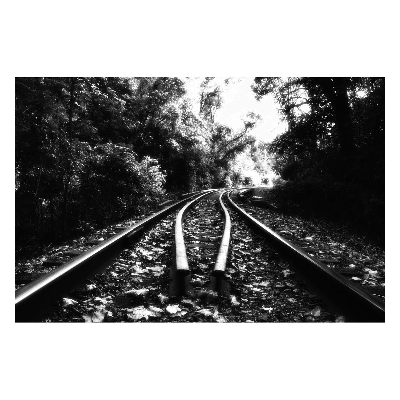 Lead Me Into The Light in Black and White Rural Landscape Fine Art Canvas Wall Art Prints - PIPAFINEART