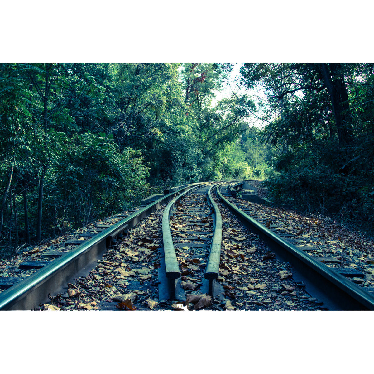 Lead Me into the Light Colorized Landscape Photo Fine Art Canvas Wall Art Prints - PIPAFINEART