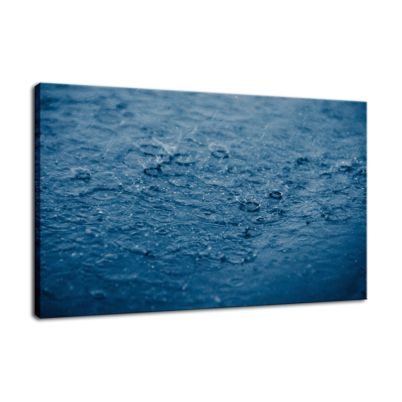 Let It Rain Nature Photo Fine Art Canvas Wall Art Prints  - PIPAFINEART