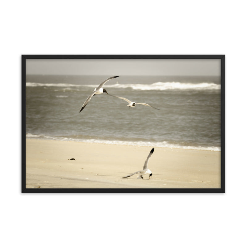 Life at the Shore Coastal Landscape Photo Framed Wall Art Print - PIPAFINEART