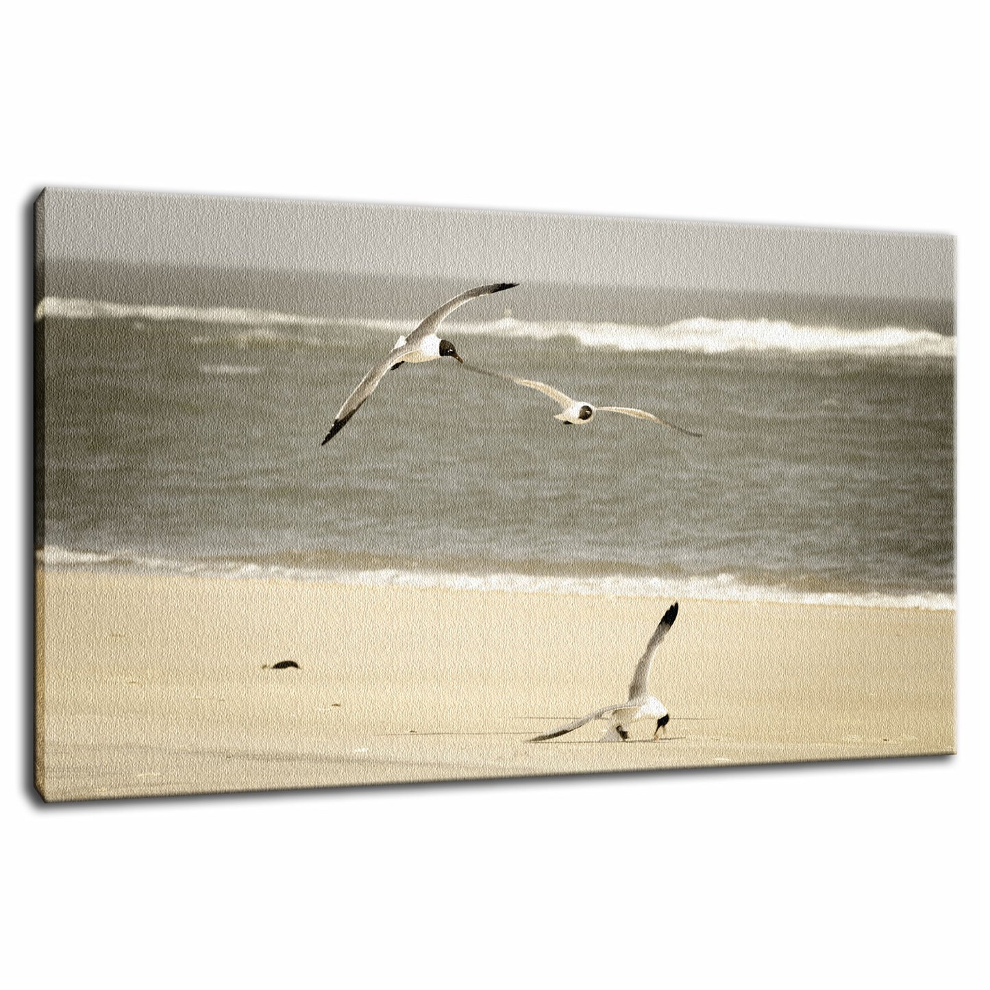 Life at the Shore - Coastal Landscape Fine Art Canvas & Unframed Wall Art Prints - PIPAFINEART