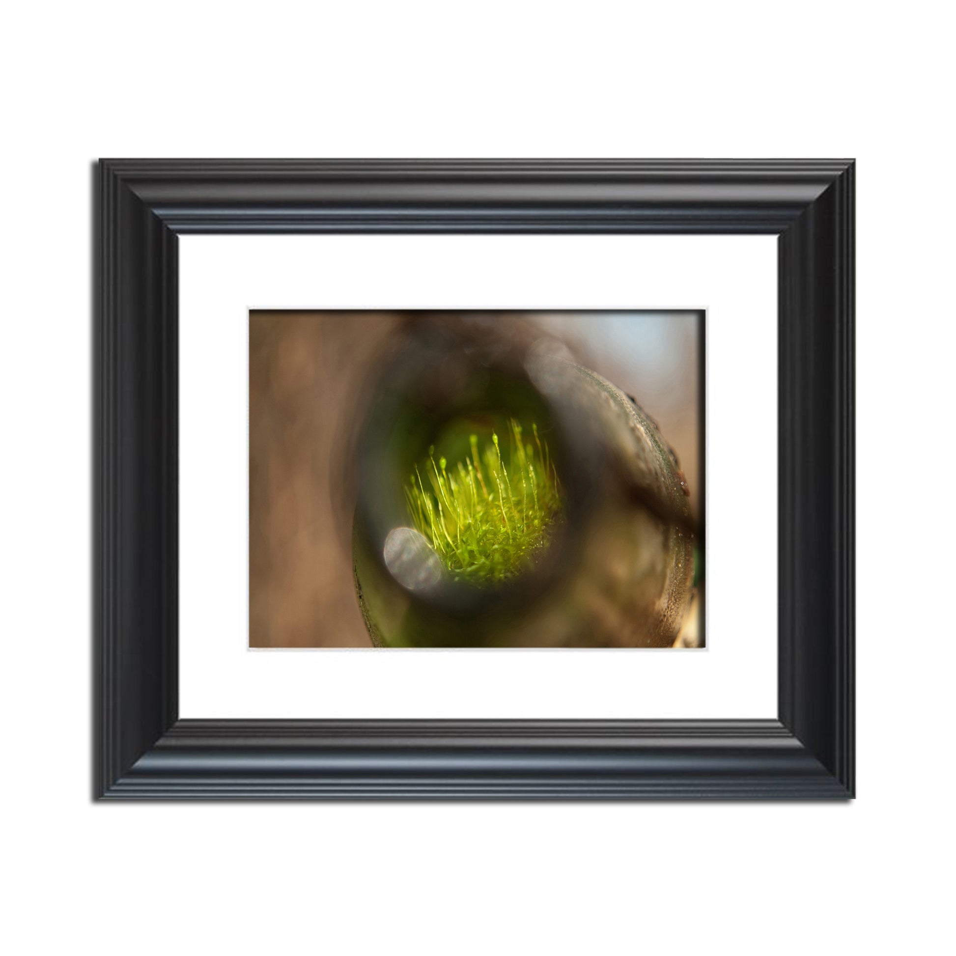 Life in a Bottle Abstract Photo Fine Art Canvas & Unframed Wall Art Prints  - PIPAFINEART