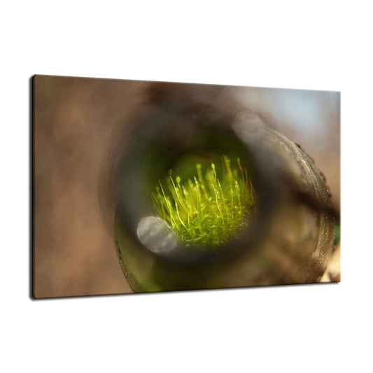 Life in a Bottle Abstract Photo Fine Art Canvas & Unframed Wall Art Prints  - PIPAFINEART