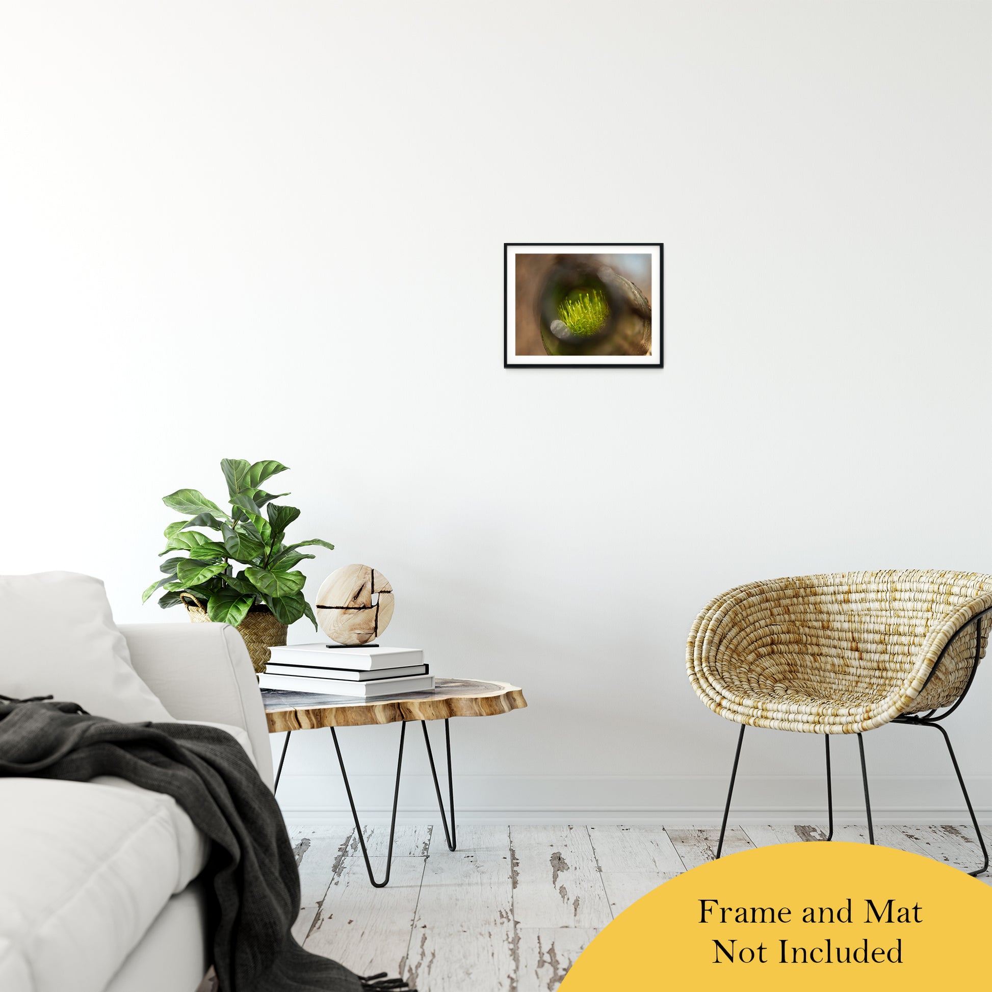 Life in a Bottle Abstract Photo Fine Art Canvas & Unframed Wall Art Prints 11" x 14" / Classic Paper - Unframed - PIPAFINEART