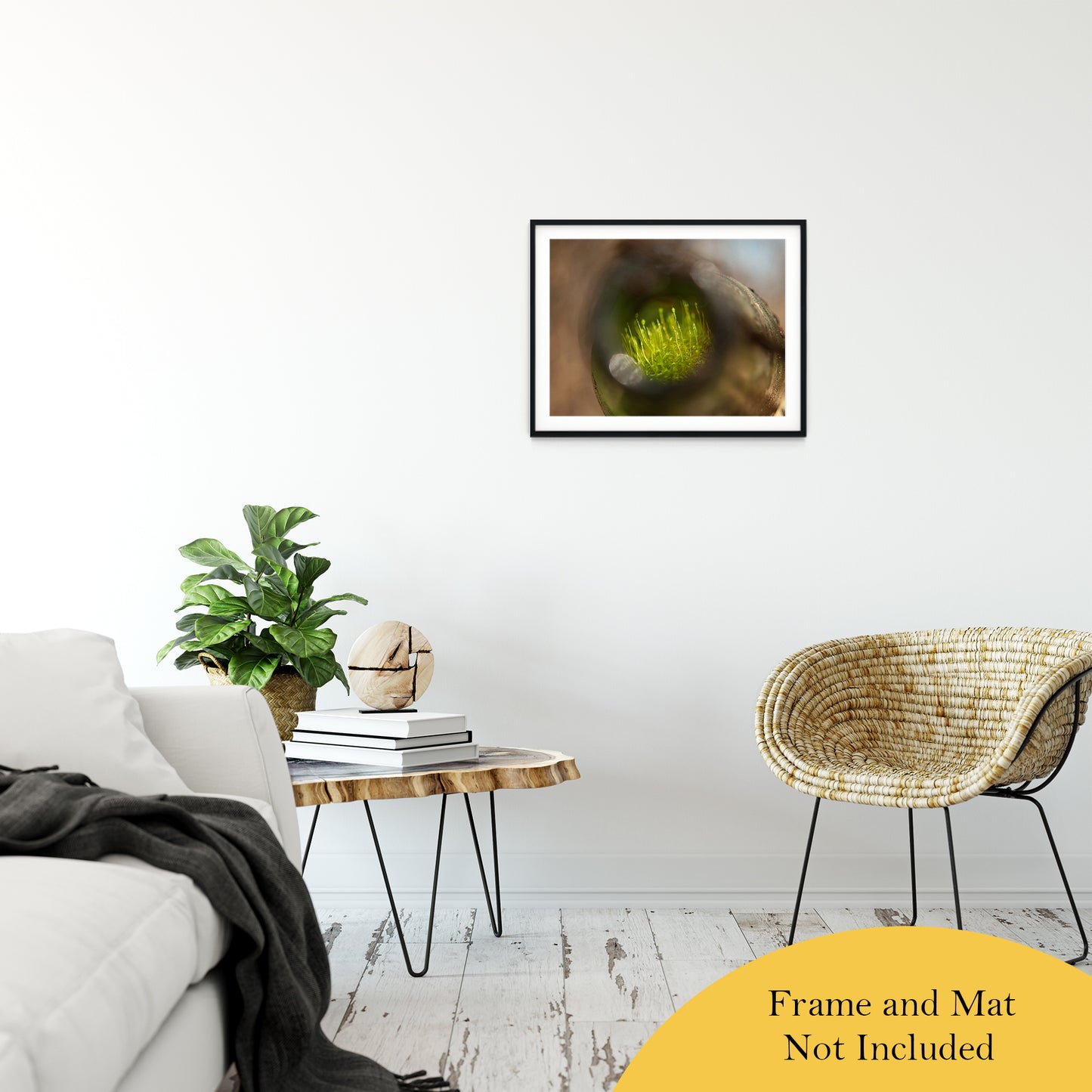 Life in a Bottle Abstract Photo Fine Art Canvas & Unframed Wall Art Prints 20" x 24" / Classic Paper - Unframed - PIPAFINEART