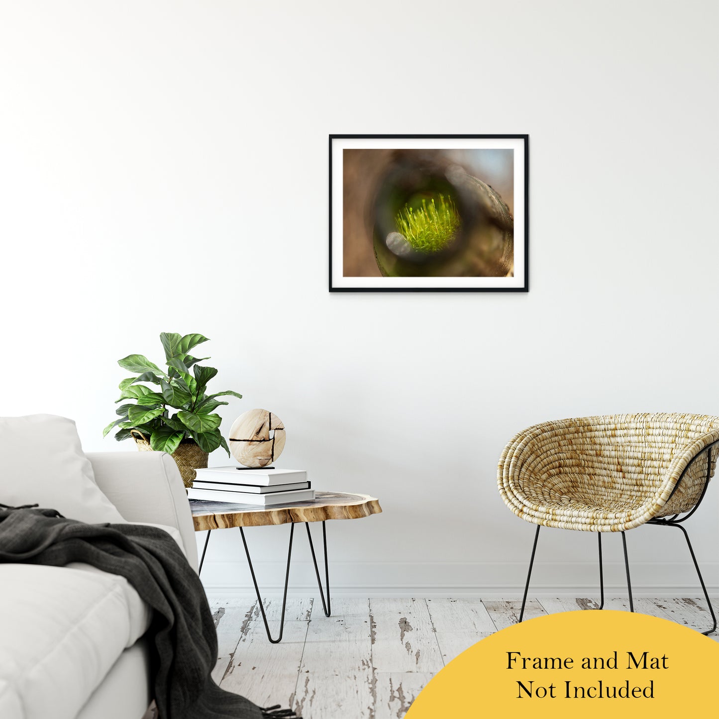 Life in a Bottle Abstract Photo Fine Art Canvas & Unframed Wall Art Prints 20" x 30" / Classic Paper - Unframed - PIPAFINEART