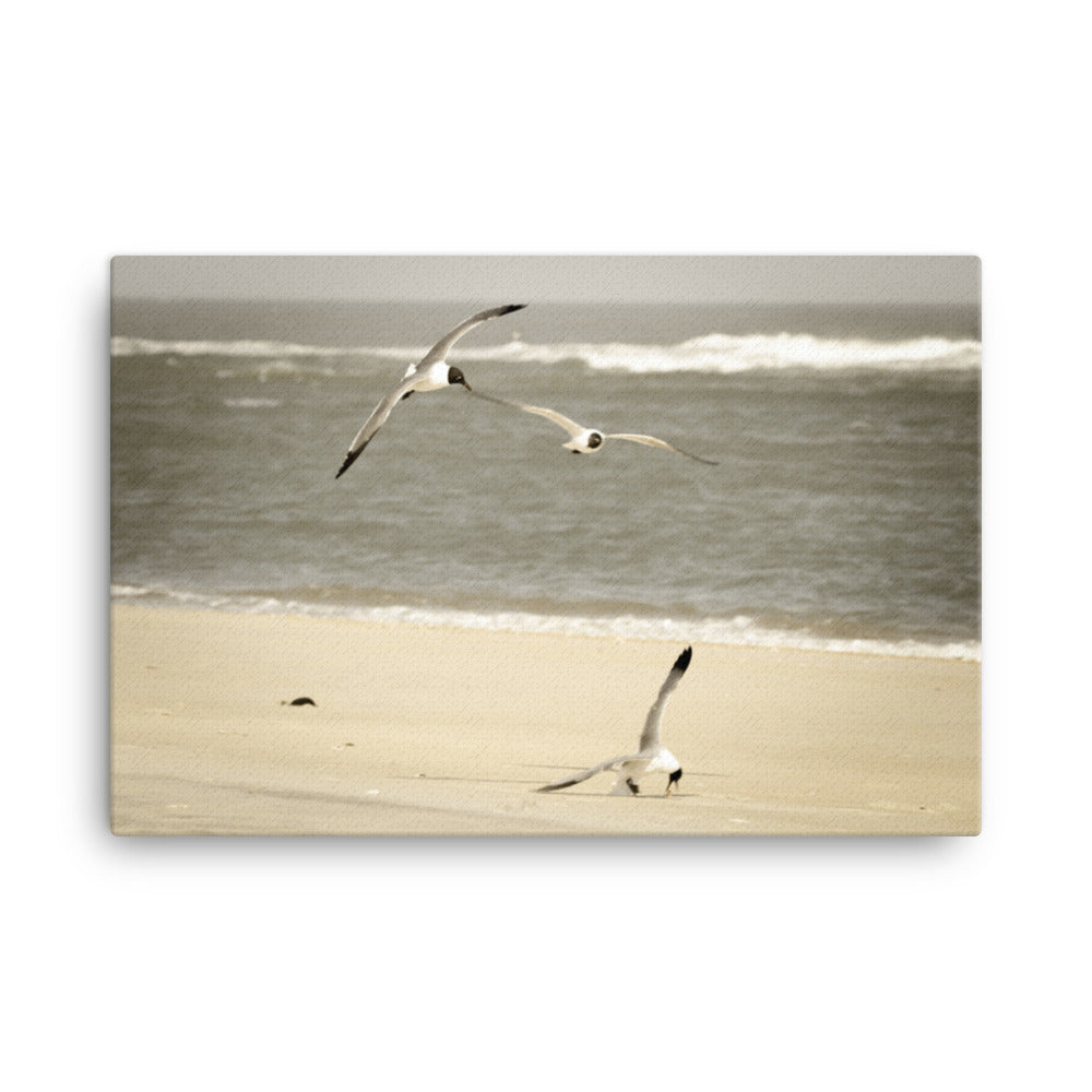 Life at the Shore Coastal Landscape Canvas Wall Art Prints