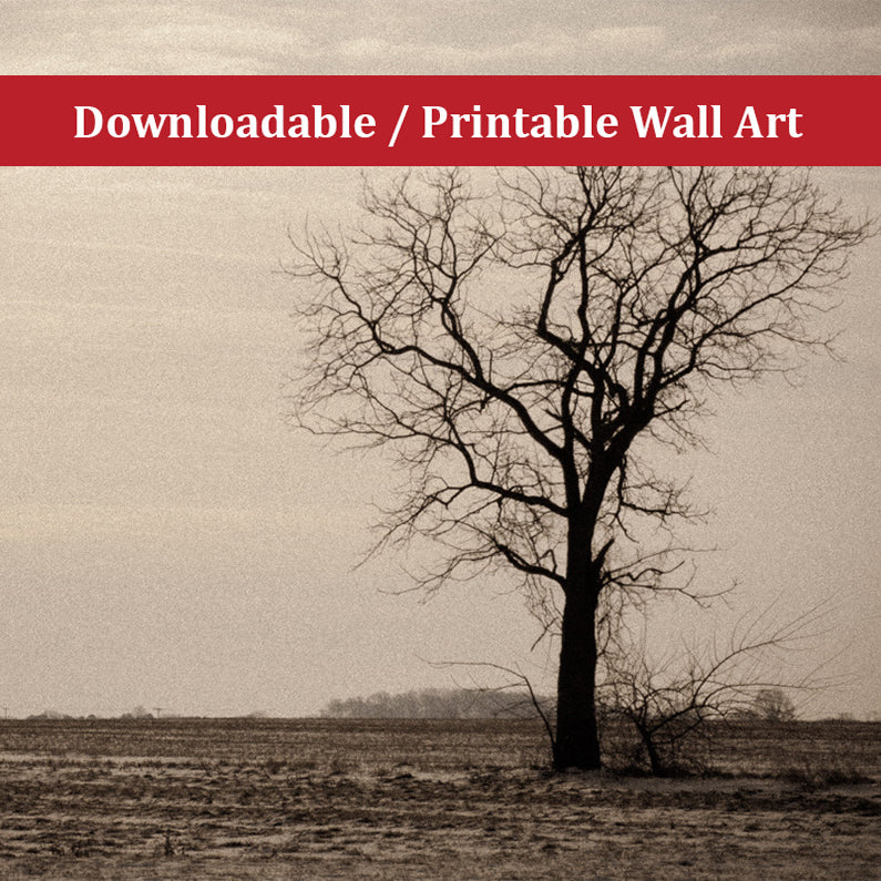 Lonely Tree Landscape Photo DIY Wall Decor Instant Download Print - Printable - PIPAFINEART