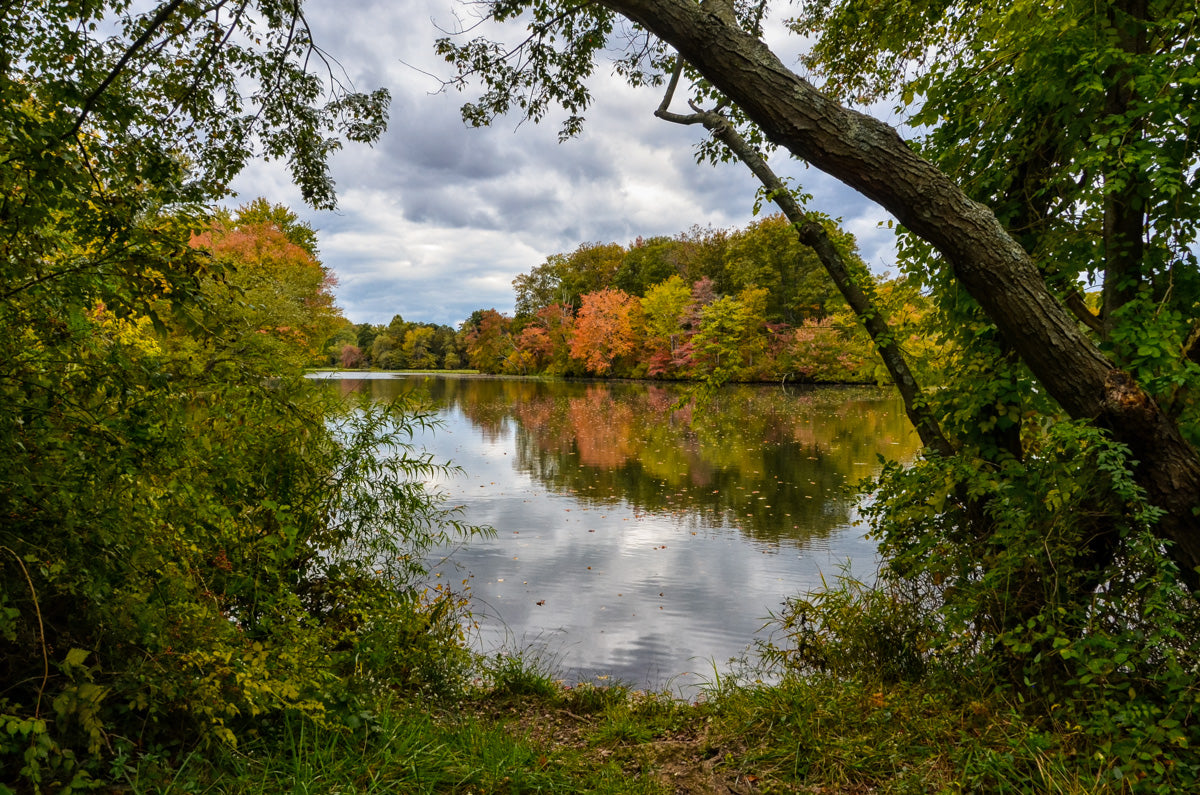 Lost In Autumn Color Landscape Photo Fine Art Canvas Wall Art Prints - PIPAFINEART