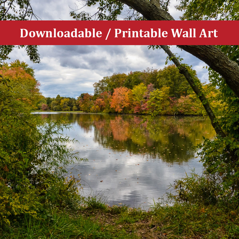 Lost in Autumn Color Landscape Photo DIY Wall Decor Instant Download Print - Printable - PIPAFINEART