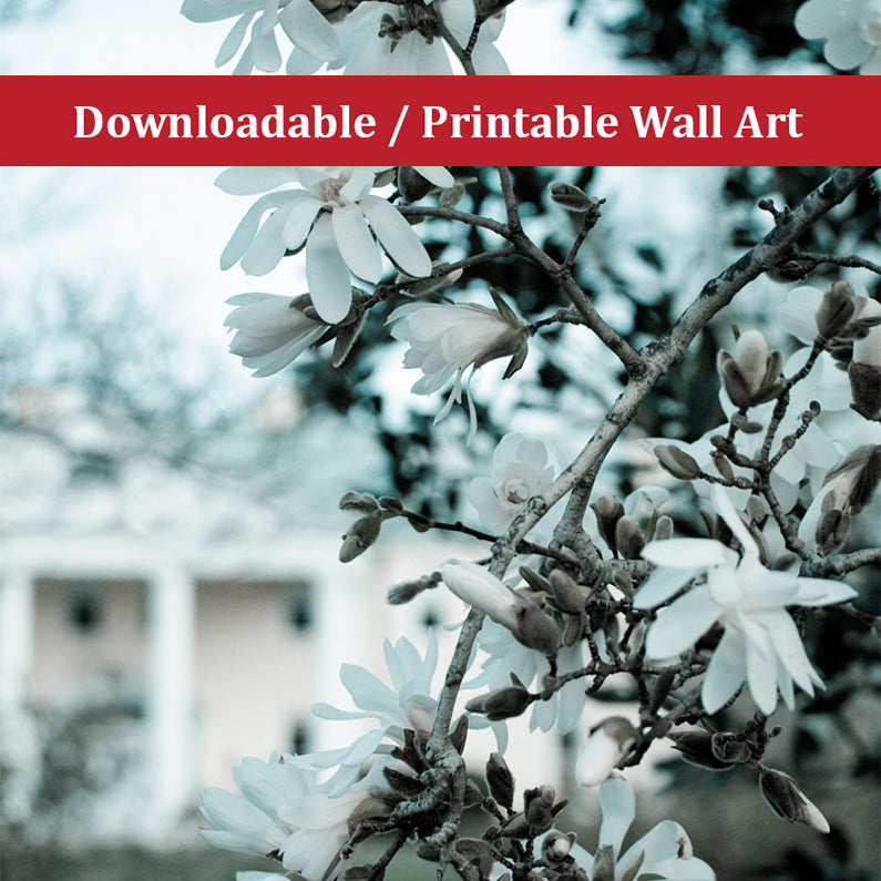 Mansion Blooms Landscape Photo DIY Wall Decor Instant Download Print - Printable - PIPAFINEART