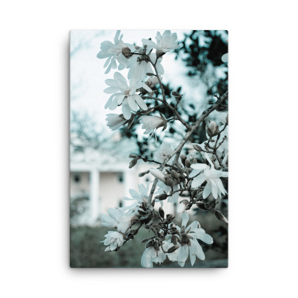 Mansion Blooms Floral Botanical Nature Photo Canvas Wall Art Prints