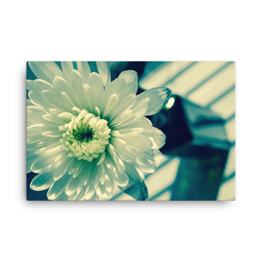 Melancholy Flower Floral Botanical Nature Photo Canvas Wall Art Prints