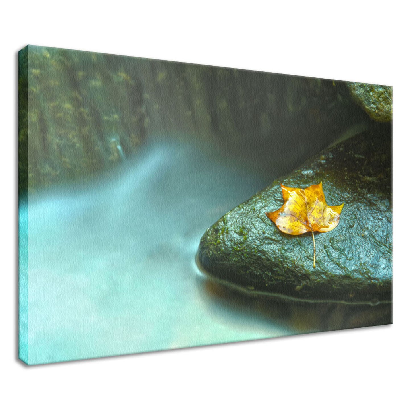 Misty Leaf Nature / Botanical Photo Fine Art Canvas Wall Art Prints - PIPAFINEART