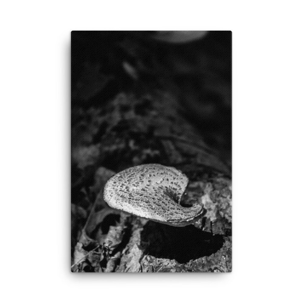 Art Prints For Living Room: Mushroom on Log Black and White Botanical Nature Canvas Wall Art Prints