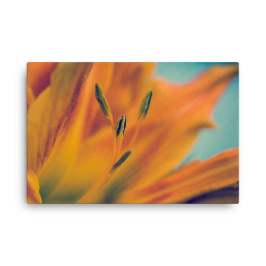 Mystical Tiger Lily Floral Botanical Nature Photo Canvas Wall Art Prints