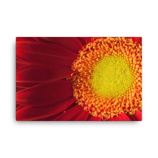 Nature's Beauty Floral Botanical Nature Photo Canvas Wall Art Prints