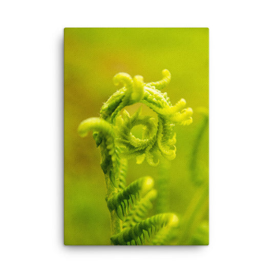 Nature's Perfection Rustic Botanical Nature Photograph Canvas Wall Art Prints