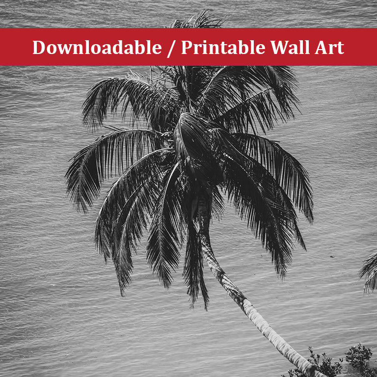 Palm Over Water Black and White Botanical Nature Photo DIY Wall Decor Instant Download Print - Printable - PIPAFINEART