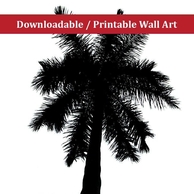 Palm Tree Silhouette on Pure White Botanical Nature Photo DIY Wall Decor Instant Download Print - Printable - PIPAFINEART