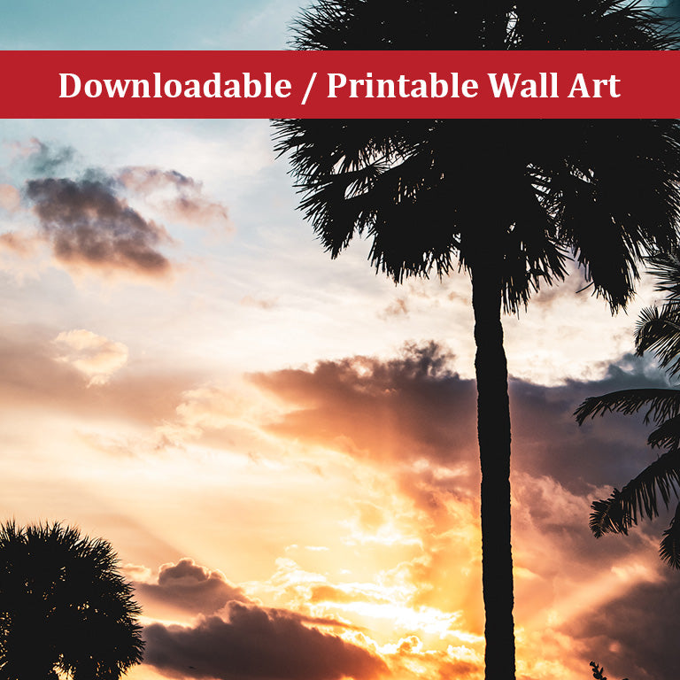 Palm Tree Silhouettes and Sunset Botanical Nature Photo DIY Wall Decor Instant Download Print - Printable - PIPAFINEART