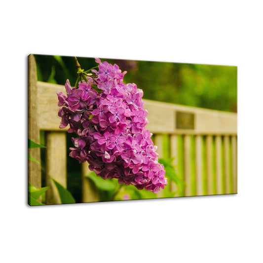 Park Bench with Lilac Nature / Floral Photo Fine Art Canvas Wall Art Prints  - PIPAFINEART