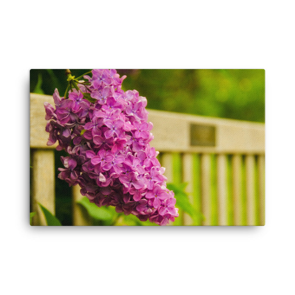 Park Bench with Lilac Floral Botanical Nature Photo Canvas Wall Art Prints
