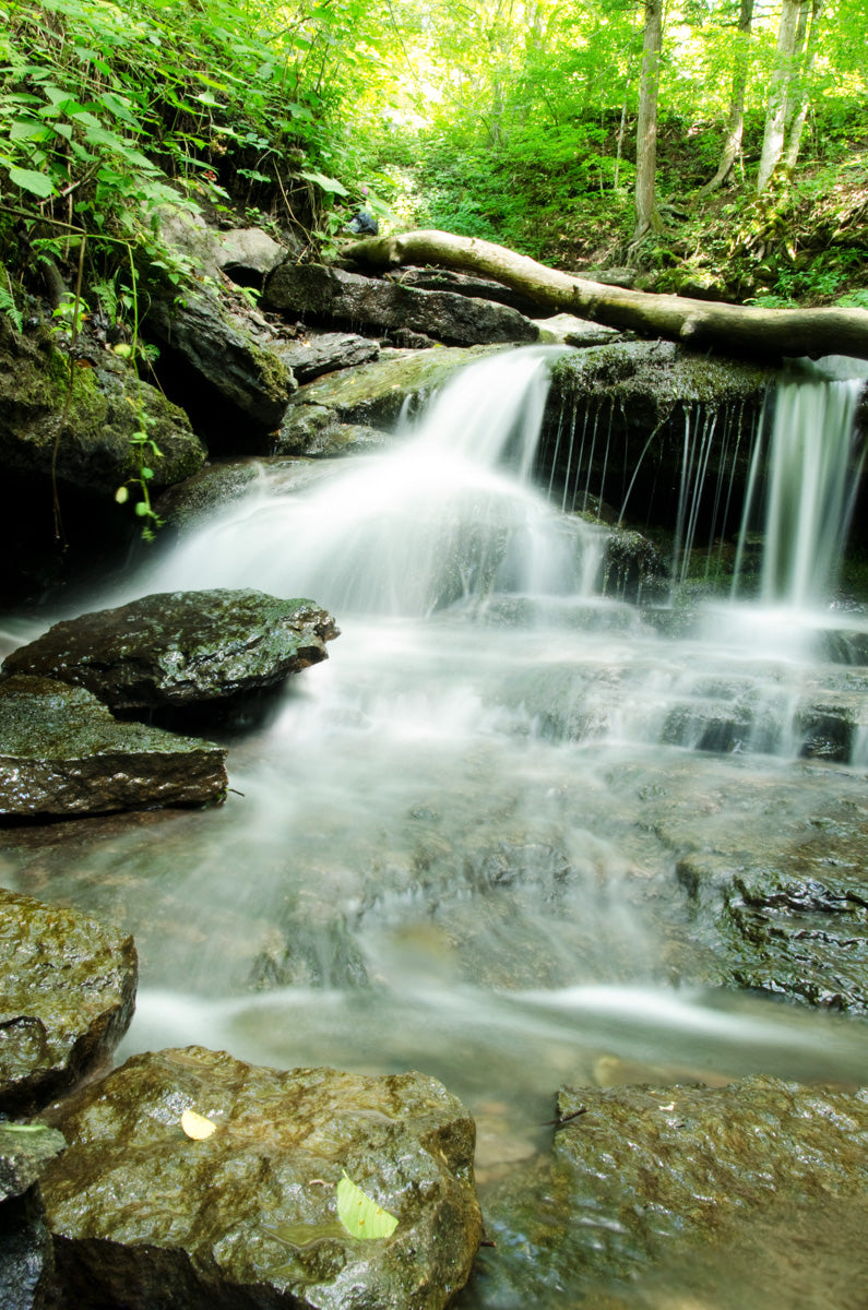 Pixley Falls 2 Landscape Photo DIY Wall Decor Instant Download Print - Printable - PIPAFINEART