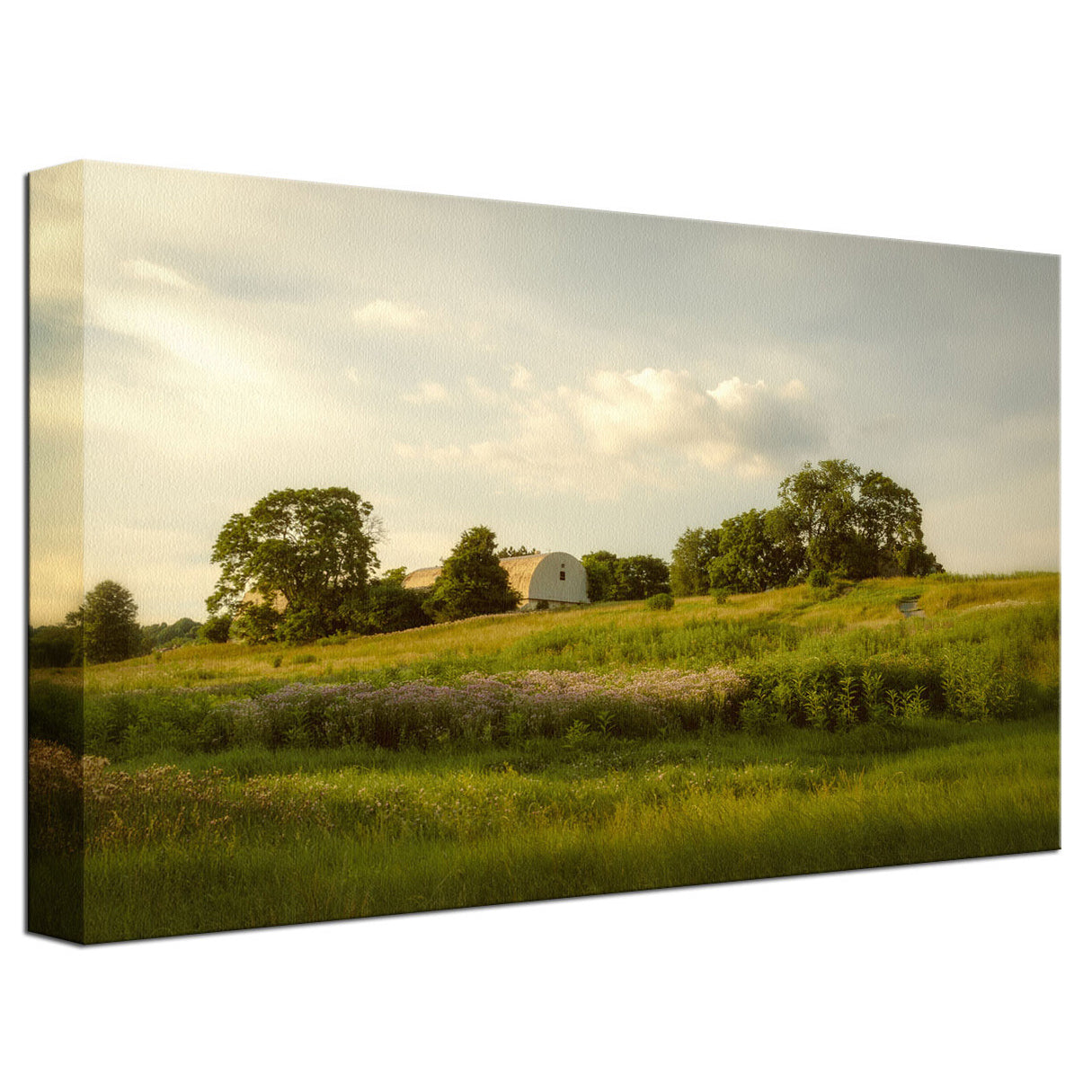 Remnant of Better Days Landscape Photo Fine Art Canvas Wall Art Prints - PIPAFINEART