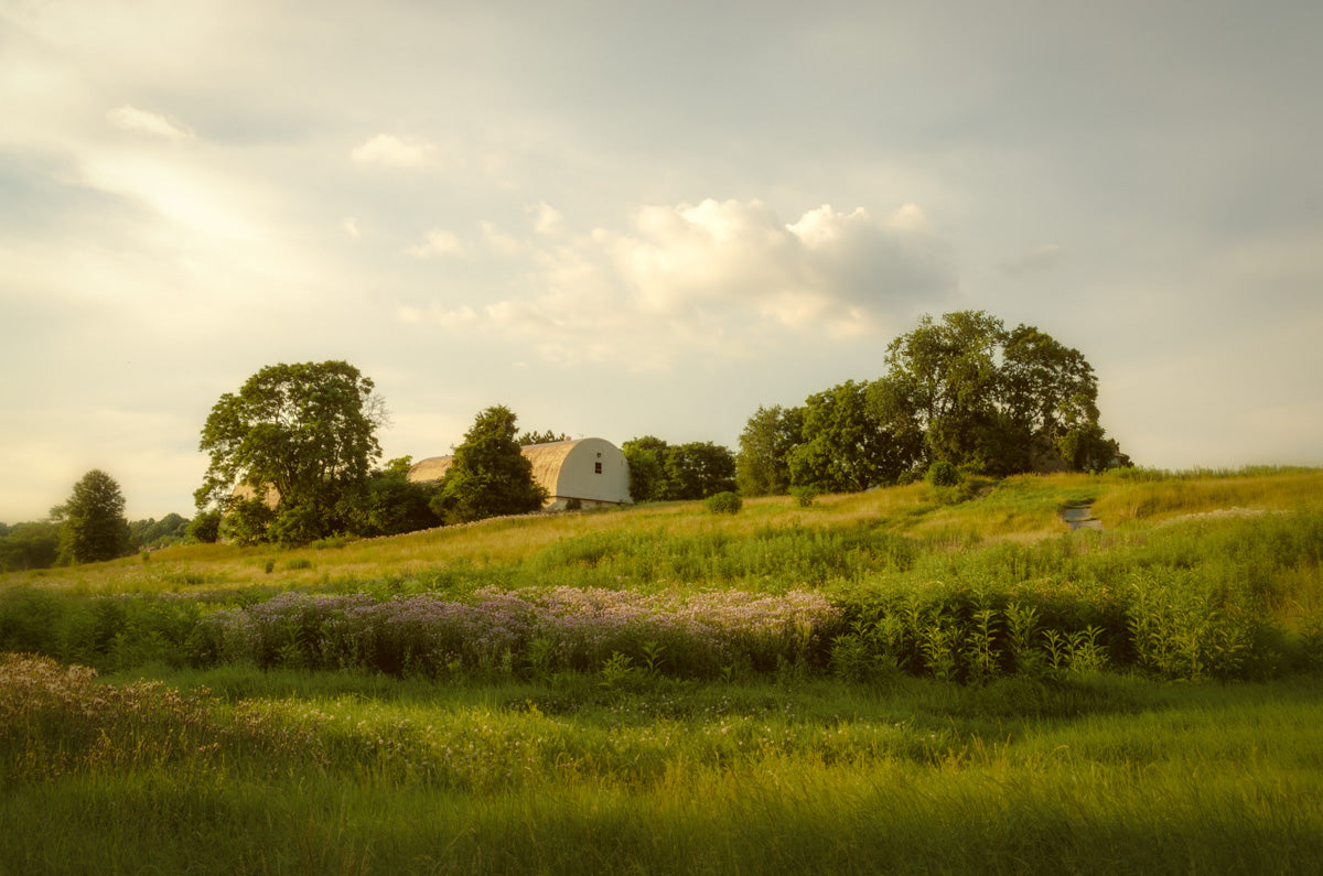 Remnant of Better Days Landscape Photo Fine Art Canvas Wall Art Prints - PIPAFINEART
