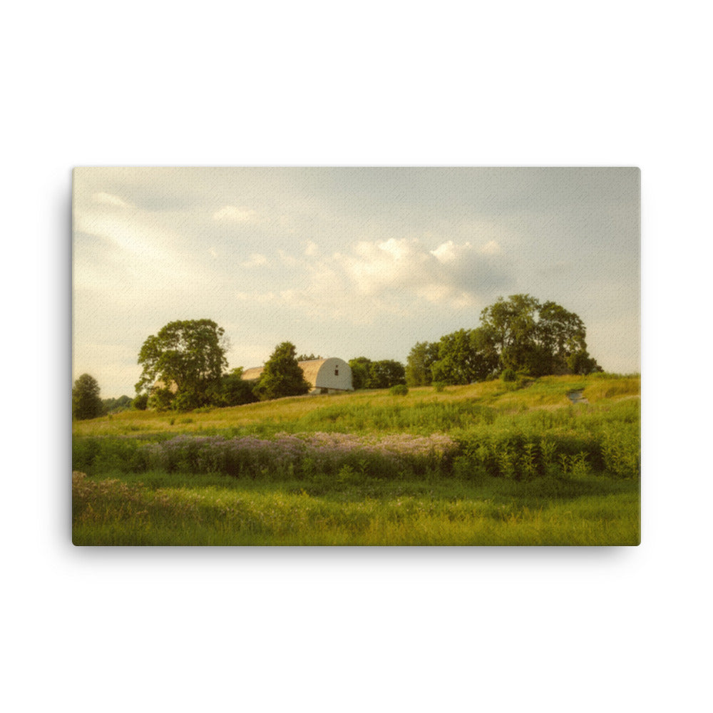 Remnant of Better Days Rural Landscape Canvas Wall Art Prints