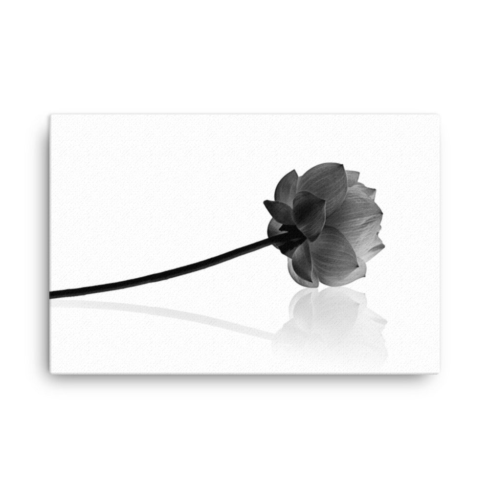 Resting Lotus Flower Black & White Floral Botanical Nature Photo Canvas Wall Decorating Art Print