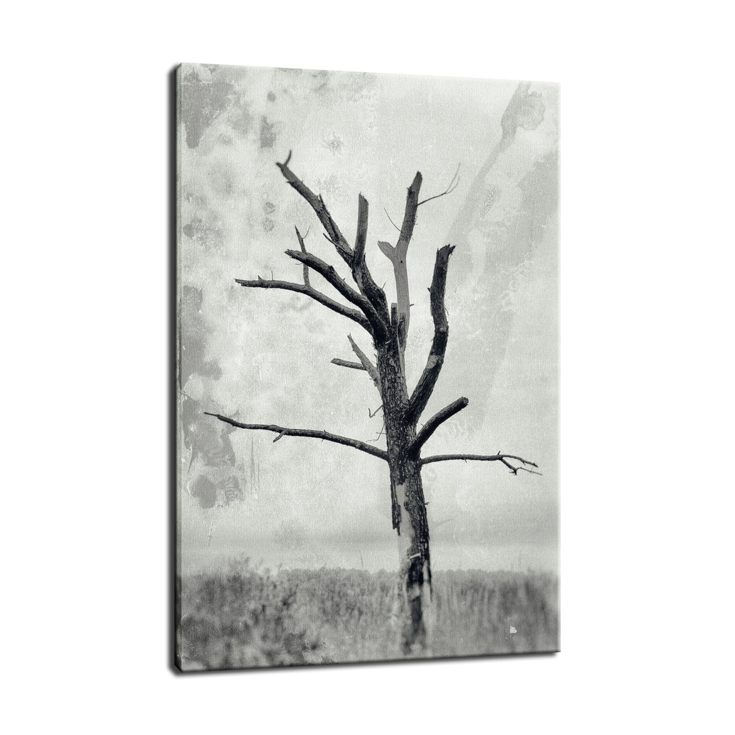 Rotting Away Alone Botanical / Nature Photo Fine Art Canvas Wall Art Prints - PIPAFINEART