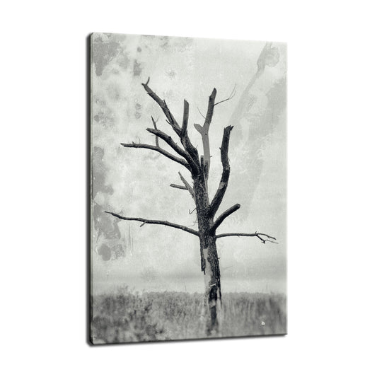 Rotting Away Alone Botanical / Nature Photo Fine Art Canvas Wall Art Prints  - PIPAFINEART