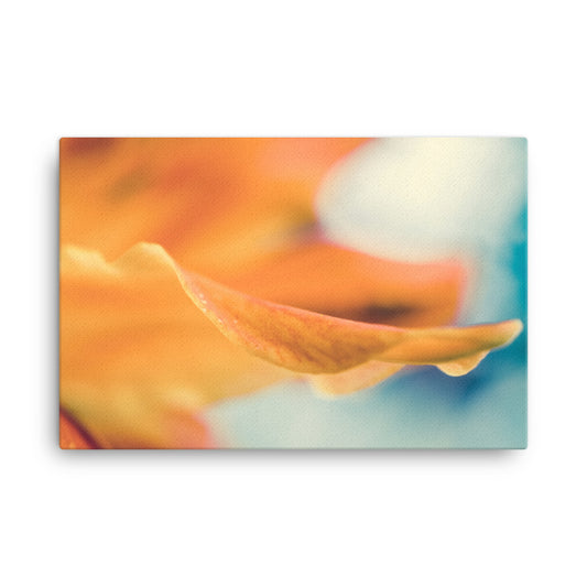 Serene Petals Of Life Floral Nature Canvas Wall Art Prints