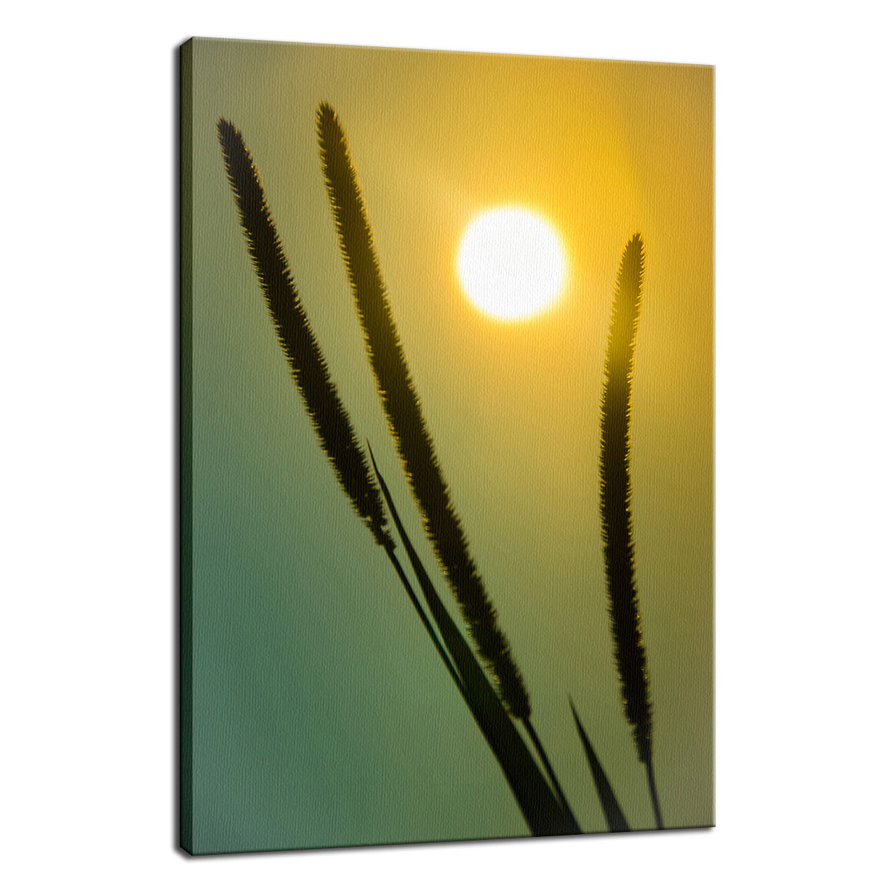 Silhouettes in Sunset Botanical / Nature Photo Fine Art Canvas Wall Art Prints - PIPAFINEART