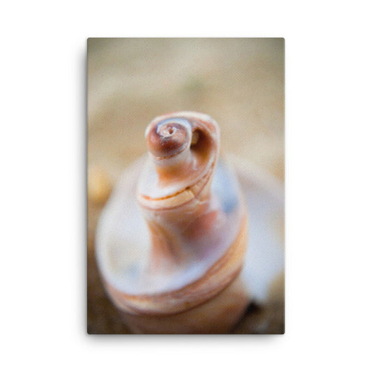 Smooth Erosion Coastal Nature Canvas Wall Art Prints