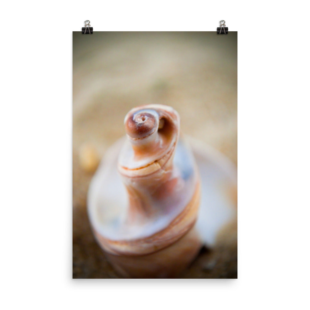 Smooth Erosion Coastal Nature Photo Loose Unframed Wall Art Prints - PIPAFINEART