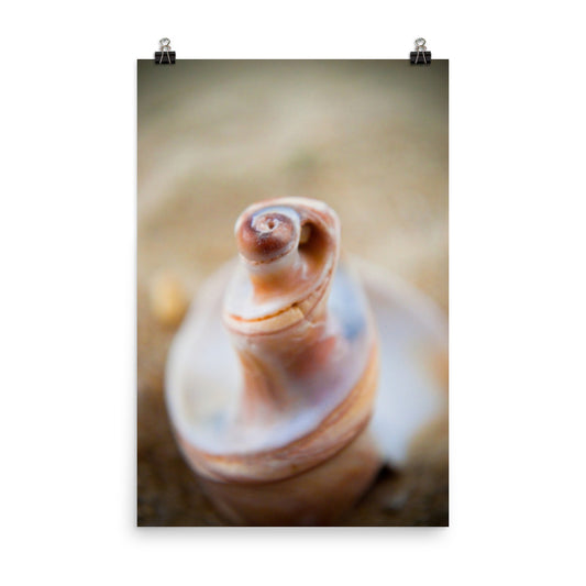 Smooth Erosion Coastal Nature Photo Loose Unframed Wall Art Prints - PIPAFINEART
