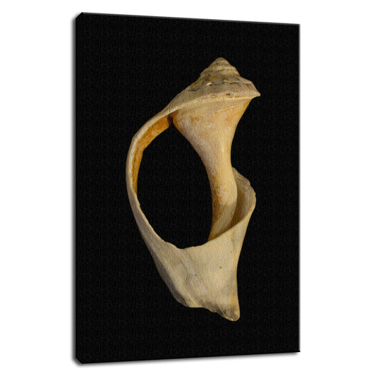 States Of Erosion Image 2 Coastal Nature Photo Fine Art Canvas Wall Art Prints  - PIPAFINEART