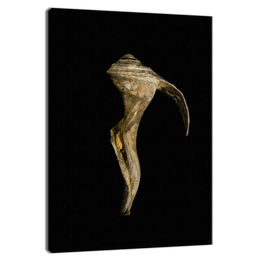 States Of Erosion Image 4 Coastal Nature Photo Fine Art Canvas Wall Art Prints  - PIPAFINEART