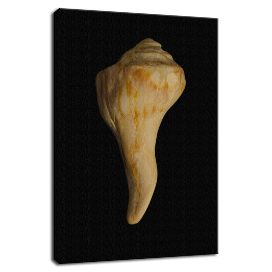 States Of Erosion Image 9 Coastal Nature Photo Fine Art Canvas Wall Art Prints  - PIPAFINEART